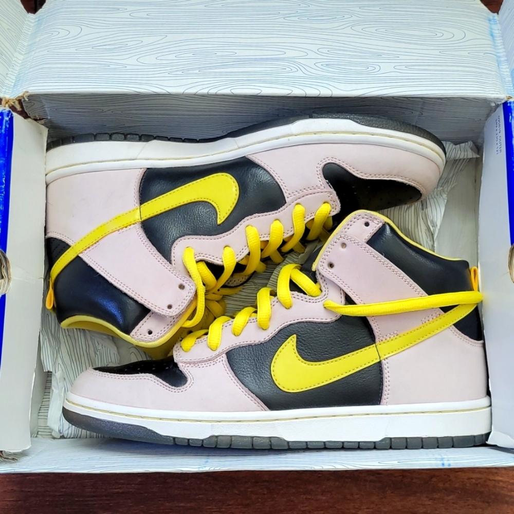 Nike Dunk Sb
